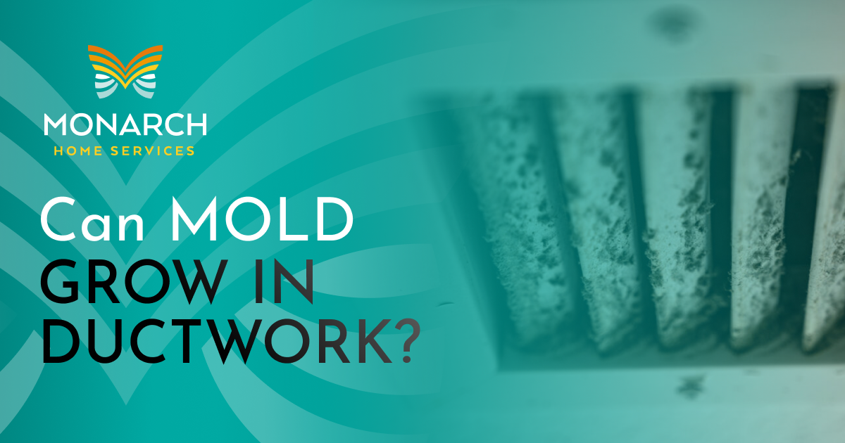 Can-Mold-Grow-in-Ductwork