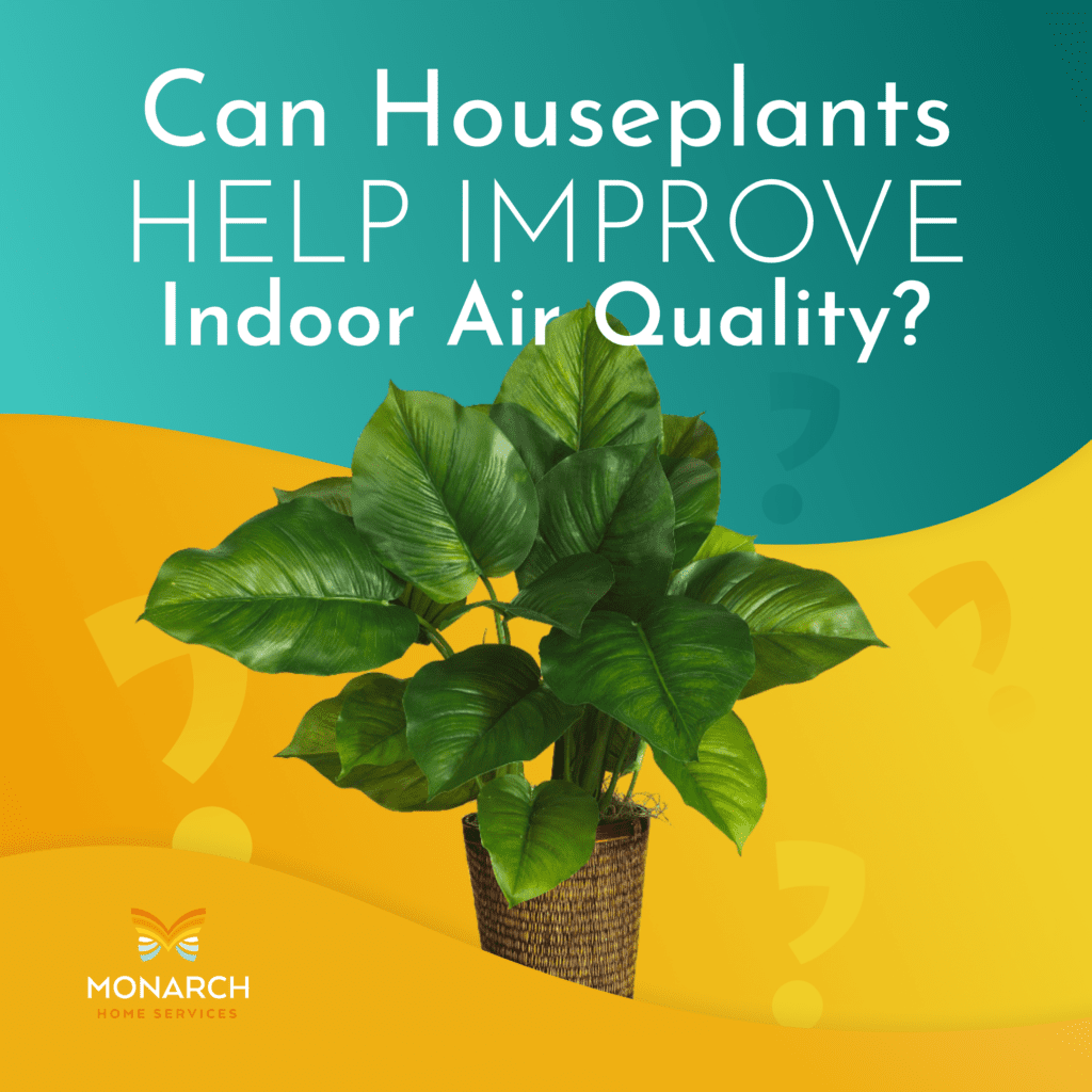 Can Houseplants Help Improve Indoor Air Quality?